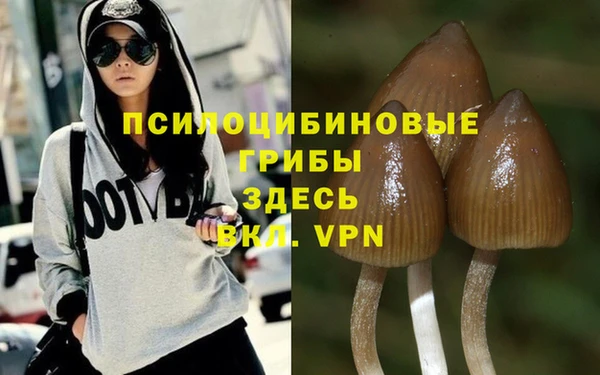 стафф Балахна
