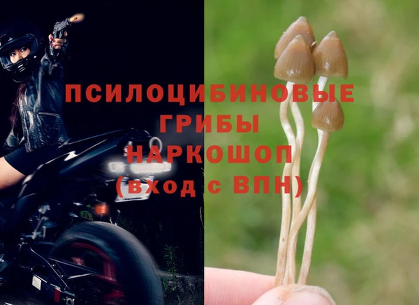 mix Арсеньев